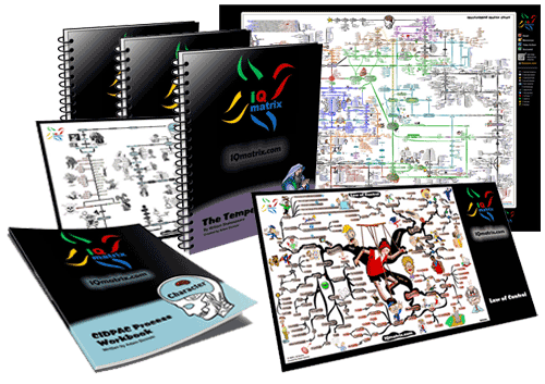 IQ Matrix Products for Accelerated Learning