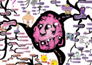 Self-Concept Transformation IQ Matrix Poster